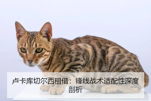 卢卡库切尔西租借：锋线战术适配性深度剖析