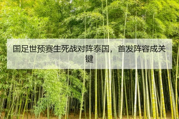 国足世预赛生死战对阵泰国，首发阵容成关键