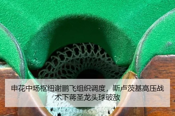shen-hua-zhong-chang-shu-niu-xie-peng-fei-zu-zhi-diao-du-si-lu-ci-ji-gao-ya-zhan-shu-xia-jiang-sheng-long-tou-qiu-po-di-3-747.jpg