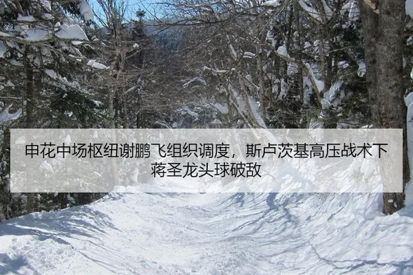 申花中场枢纽谢鹏飞组织调度，斯卢茨基高压战术下蒋圣龙头球破敌